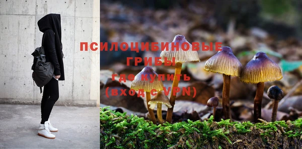 Альфа ПВП Володарск